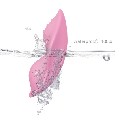 Wearable Vibrator Clitoris Vibrating Panties Toy Women Masturbator Remote Control