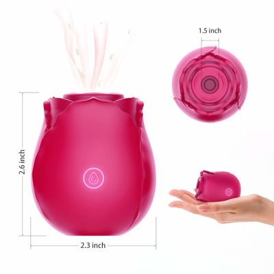 10 Modes Rose Clitoral Sucking Vibrator Rechargeable Sucking Vibrator For Female