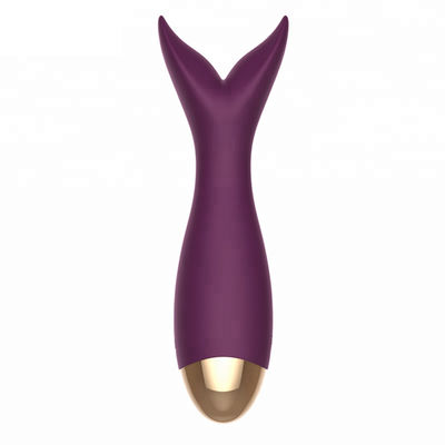 Recharge Electric High Powered Vibrator