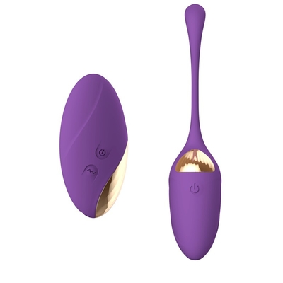 Woman Silicone Pussy Vibrator Love Egg Anal USB Recharge Wireless Remote Control