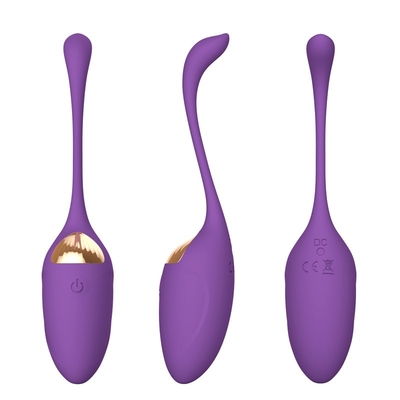 Woman Silicone Pussy Vibrator Love Egg Anal USB Recharge Wireless Remote Control