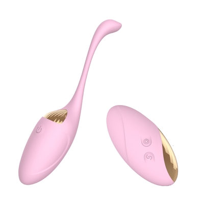 Female Masturbation Vibrator Vibrating Eggs Sex Toy Rechargeable Bullet With Remote